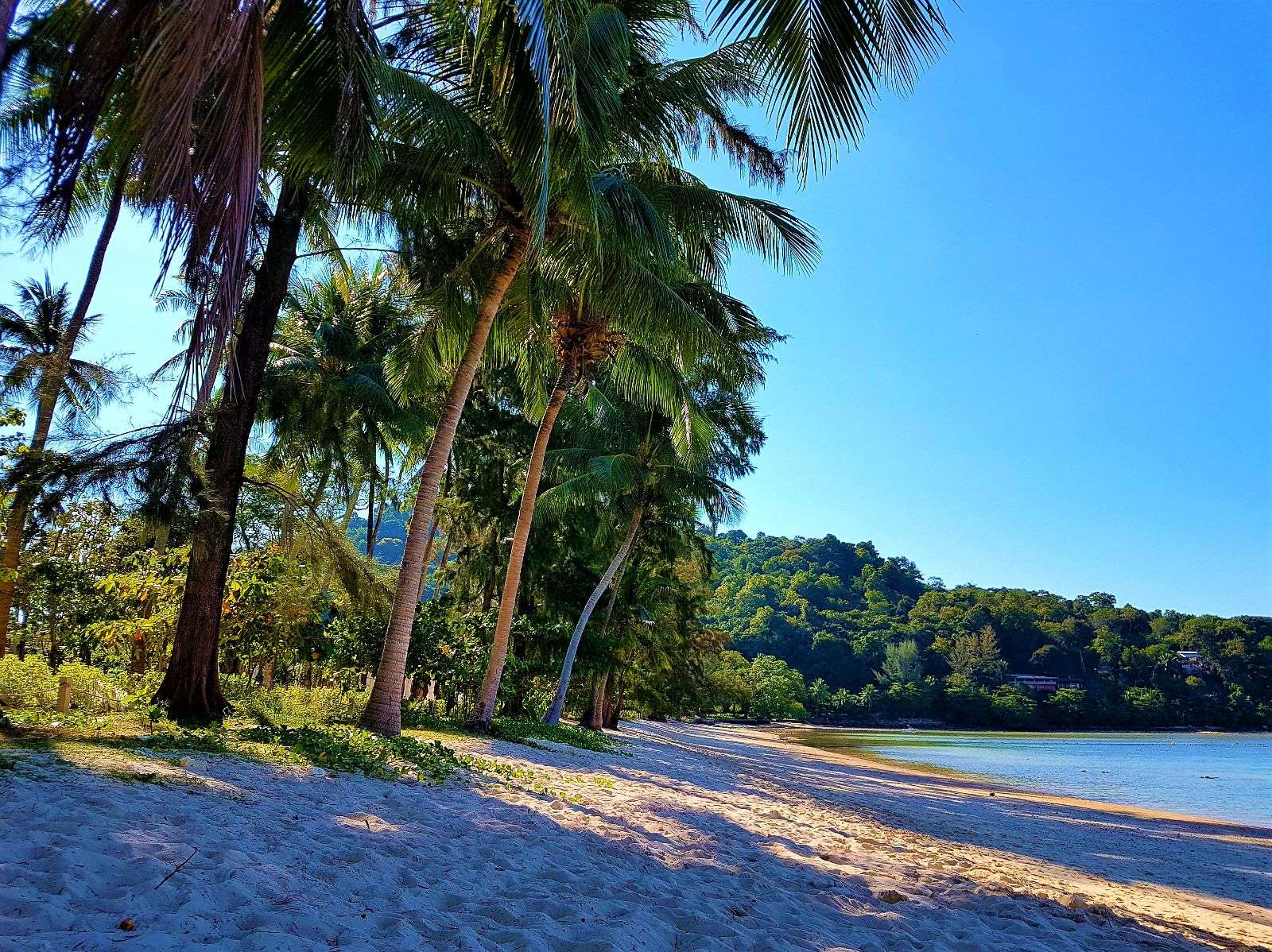 8 Nice Beaches in Phuket to Visit