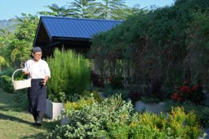 metadee garden
