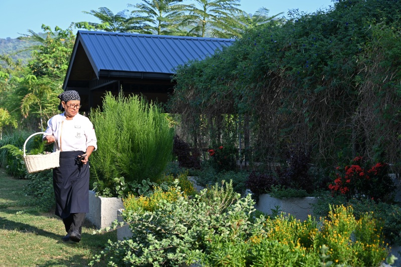 metadee garden