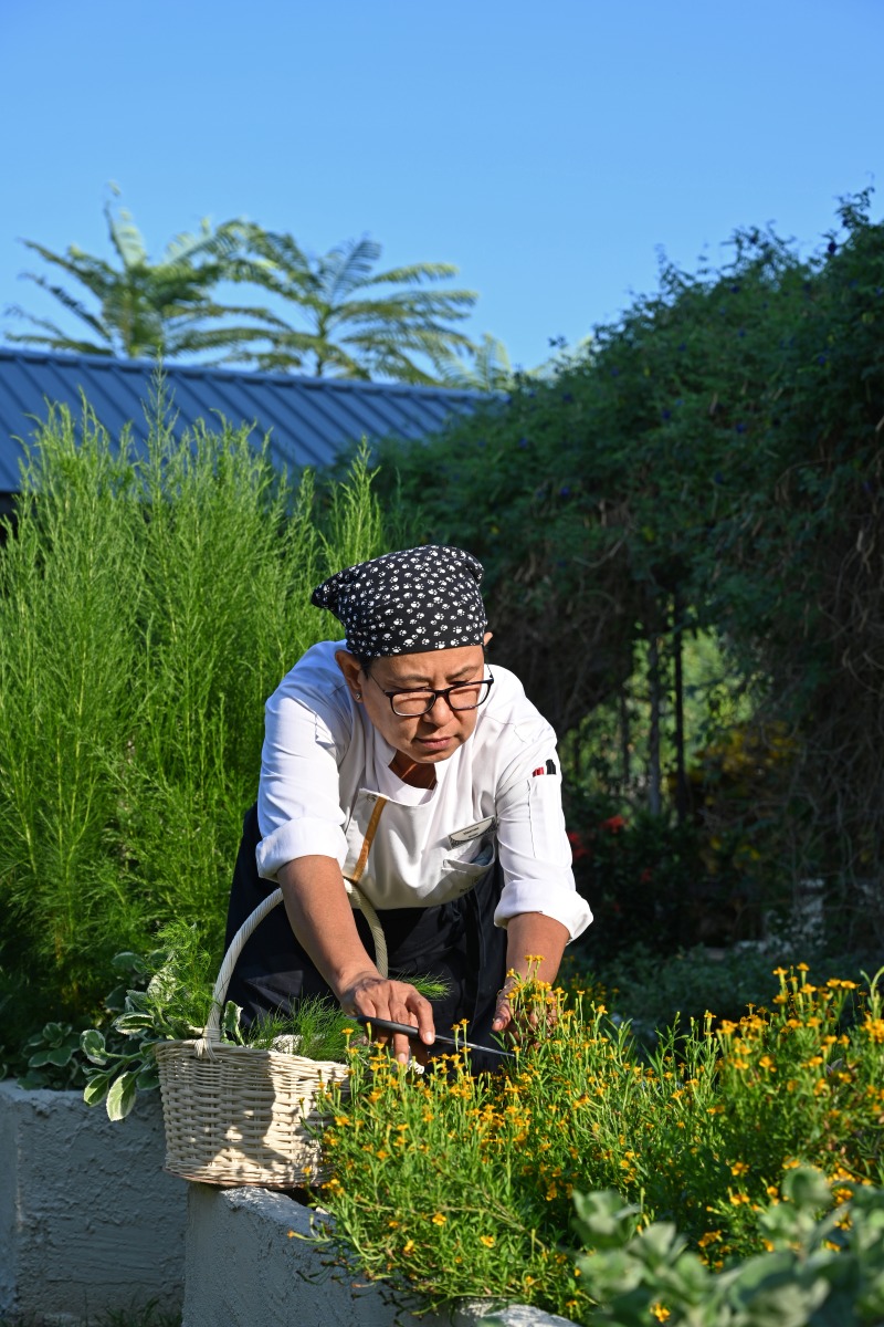 metadee garden