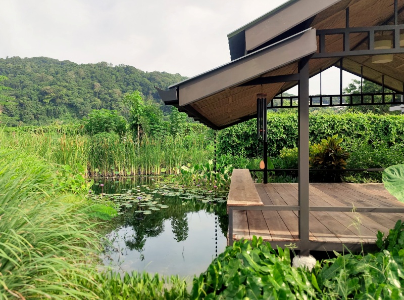 metadee the pond